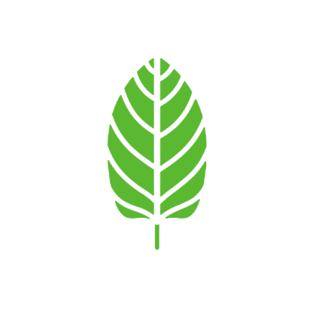mm-ast-icon-214