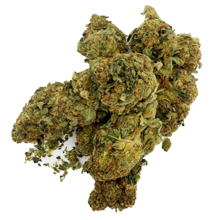 PLATINUM GRADE | Medellin | Aura Farms | Sativa | THC-A Flower