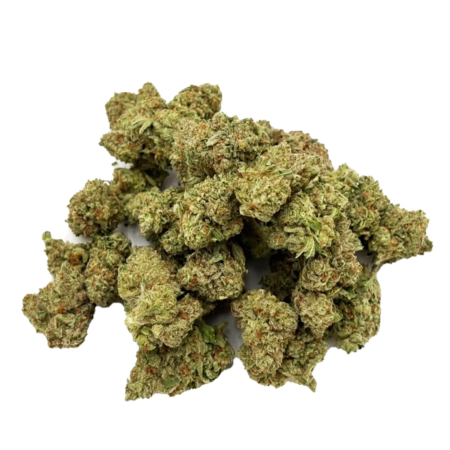 GOLD GRADE | Dutch Cookies | Indica | Aura Farms | THC-A Flower