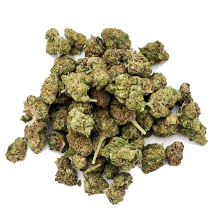 PLATINUM GRADE | Reeses Pieces | Indica | Green Tree Express | THC-A Flower