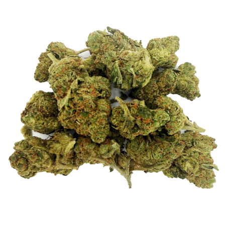 PLATINUM GRADE | Orange Julius | Green Trees Express | Sativa | THC-A Flower